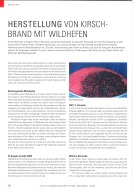 Herstellung von Kirschbrand mit Wildhefen