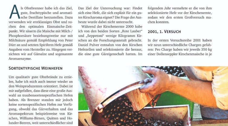 Herstellung von Kirschbrand mit Wildhefen