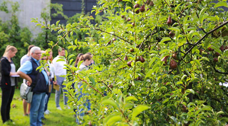 Naturexkursion durch Humbel's Obstgarten