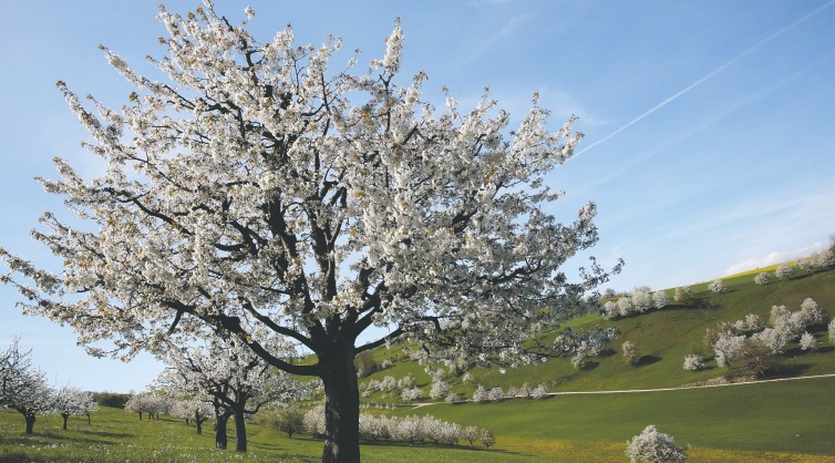 Stellungnahme zu den Nachhaltigkeitskriterien der Aargauischen Kantonalbank