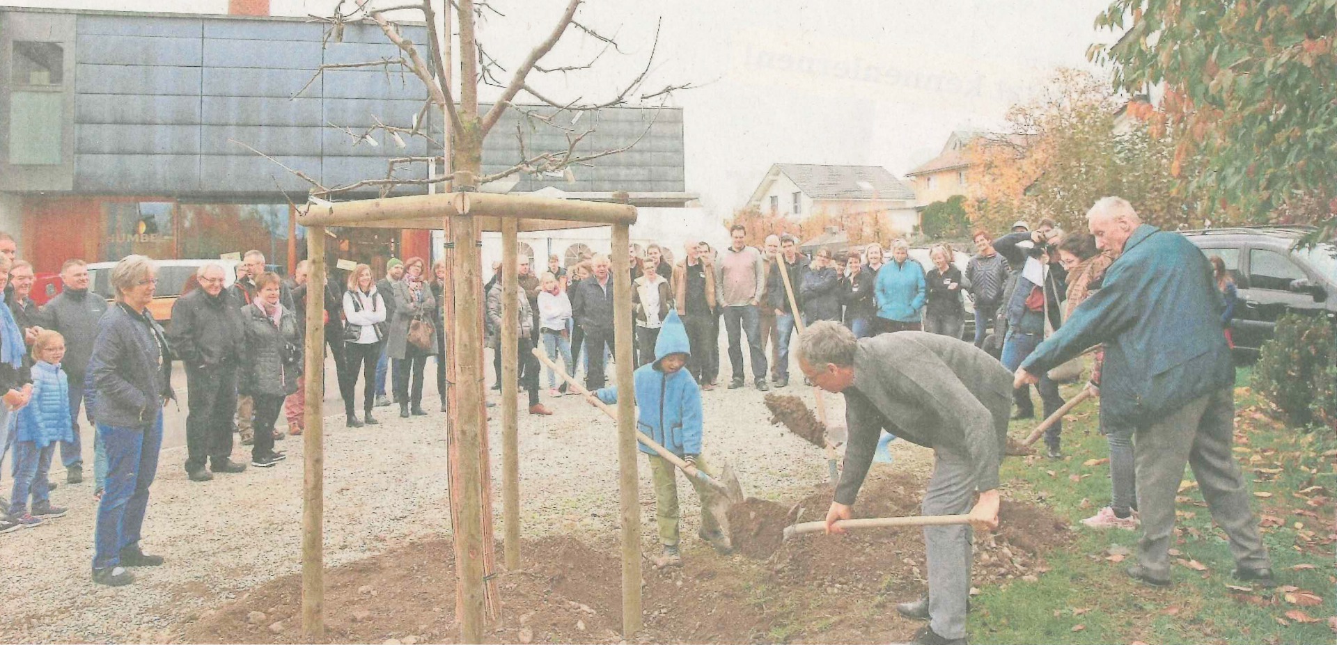 100 Jahre Baum